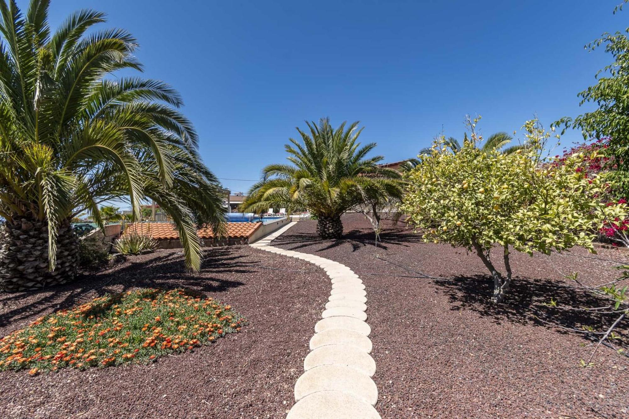 Casa Las Palmeras غراناديا دي أبونا المظهر الخارجي الصورة